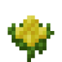 canolaitem.png