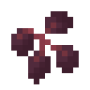 elderberryitem.png