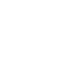 blueprint_shield.png